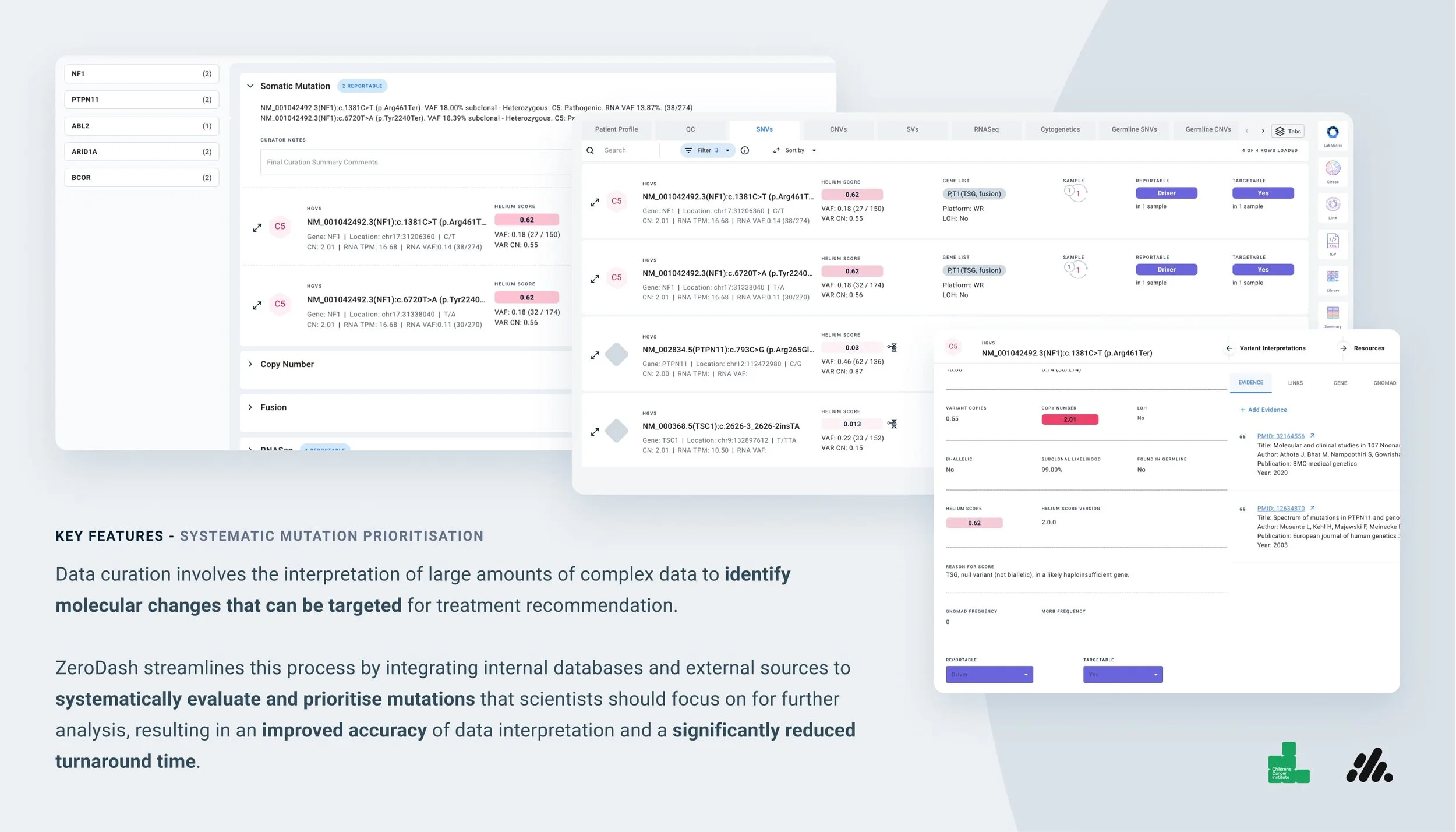 ZeroDash Phase 1: systematic mutation prioritisation